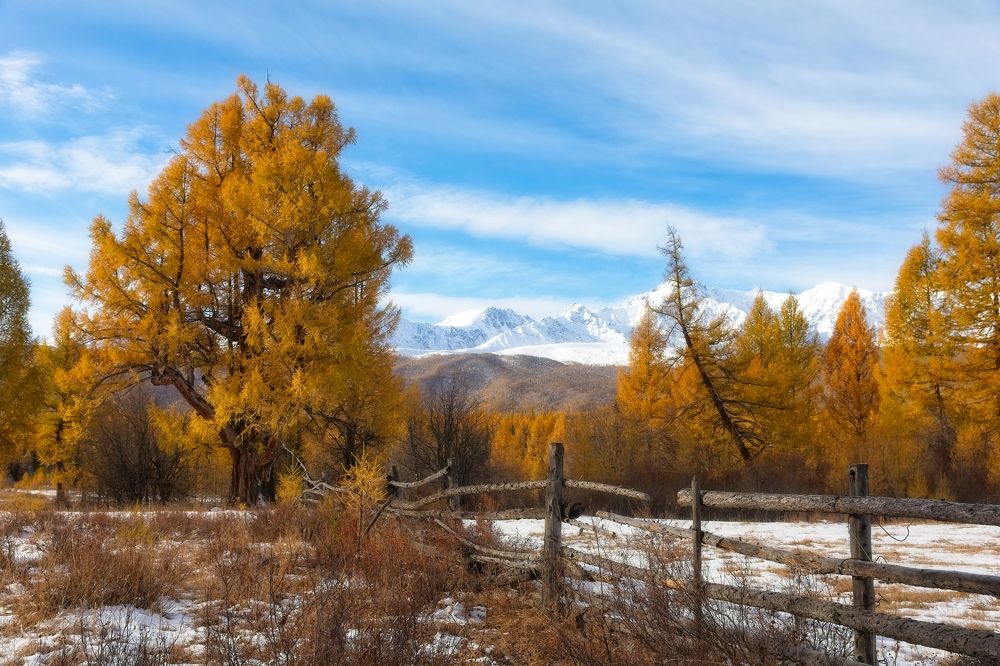 Photograph by Игорь Щербаков