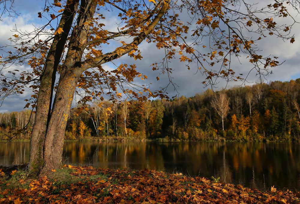 Вдохновение