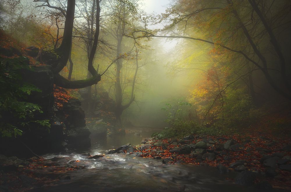 Photograph by Александър Александров