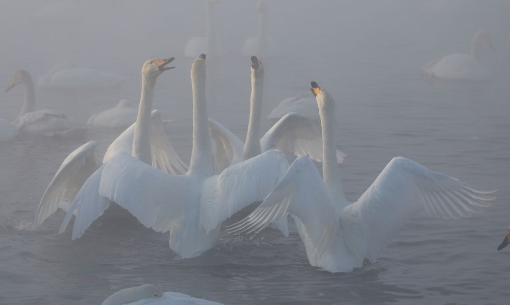 Photograph by Игорь Щербаков