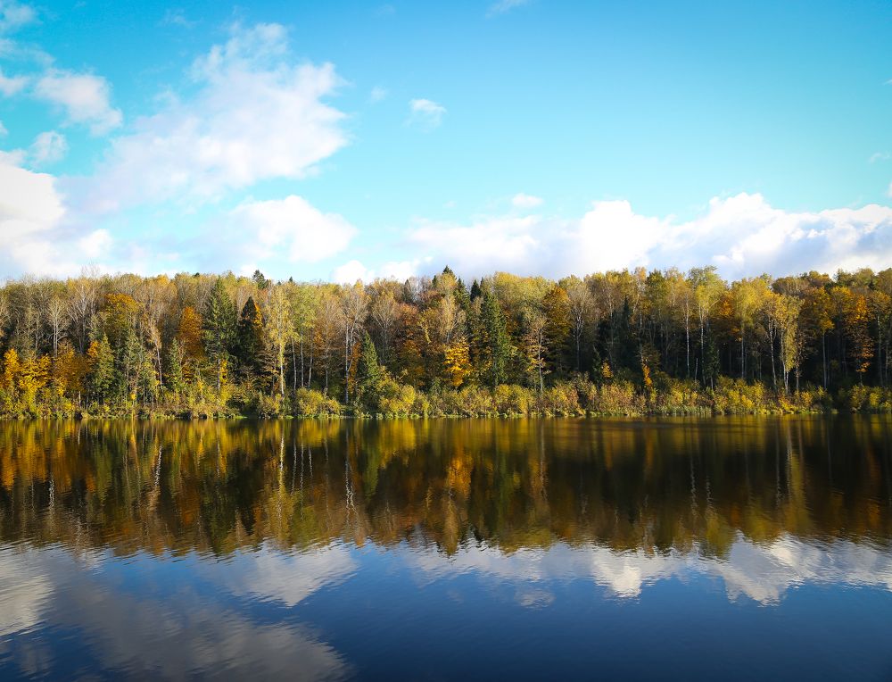 На берегу Двины