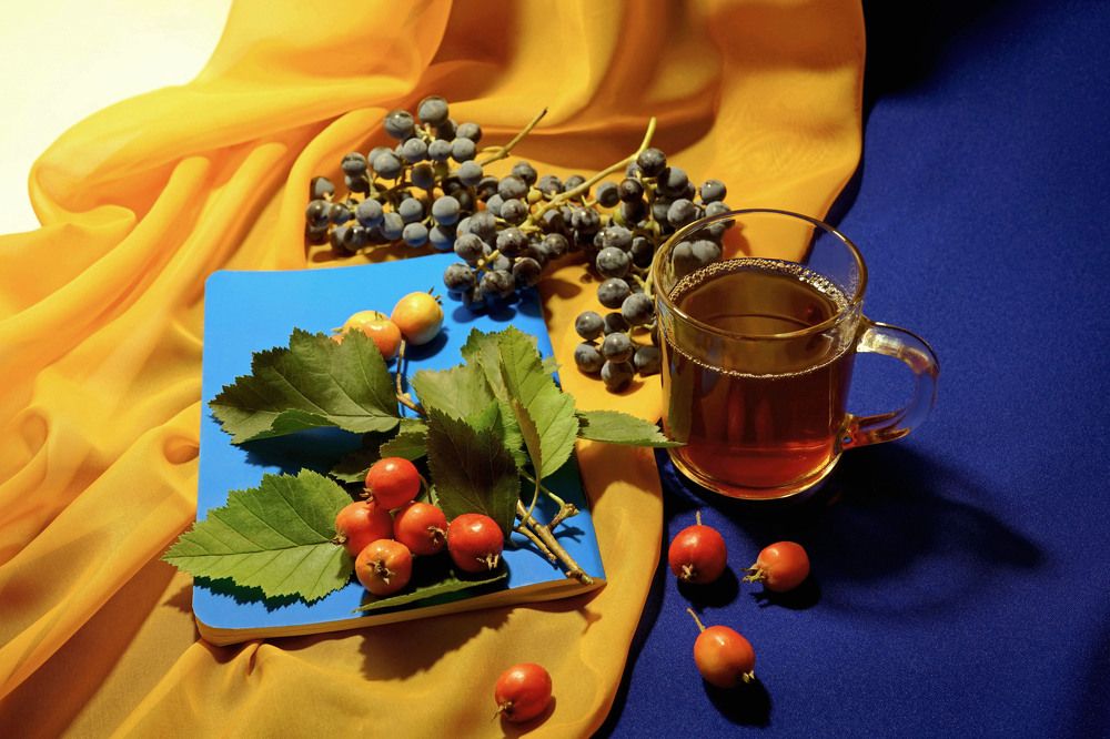 Photograph by Tatiana Glazkova