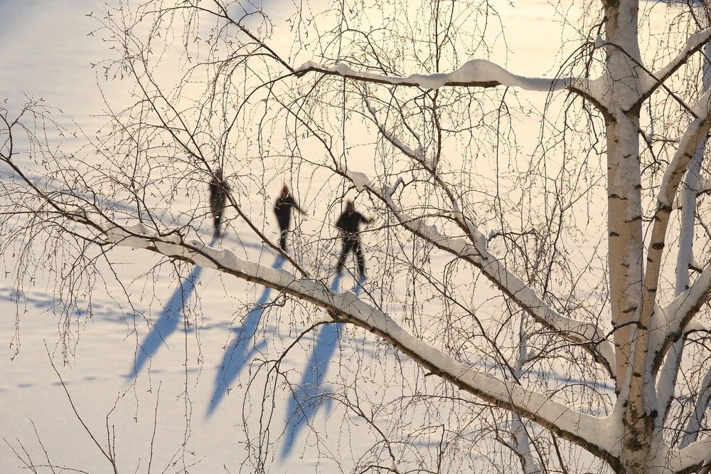 Photograph by Илья Савицкий