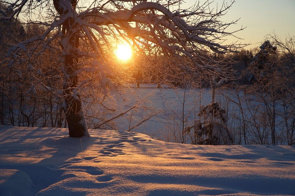 Photograph by Илья Савицкий