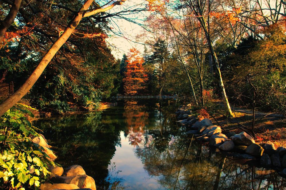 Photograph by Oleg Chemodanov