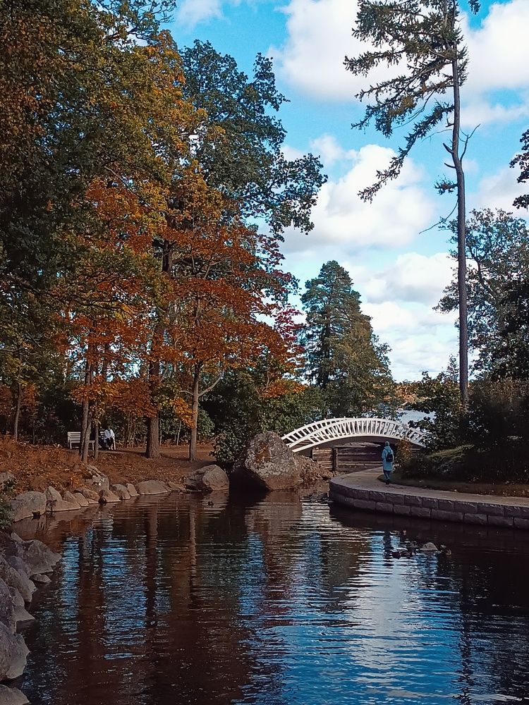 Photo #11195331