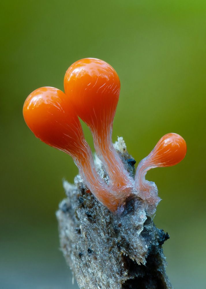 Photograph by Антон Кубышкин