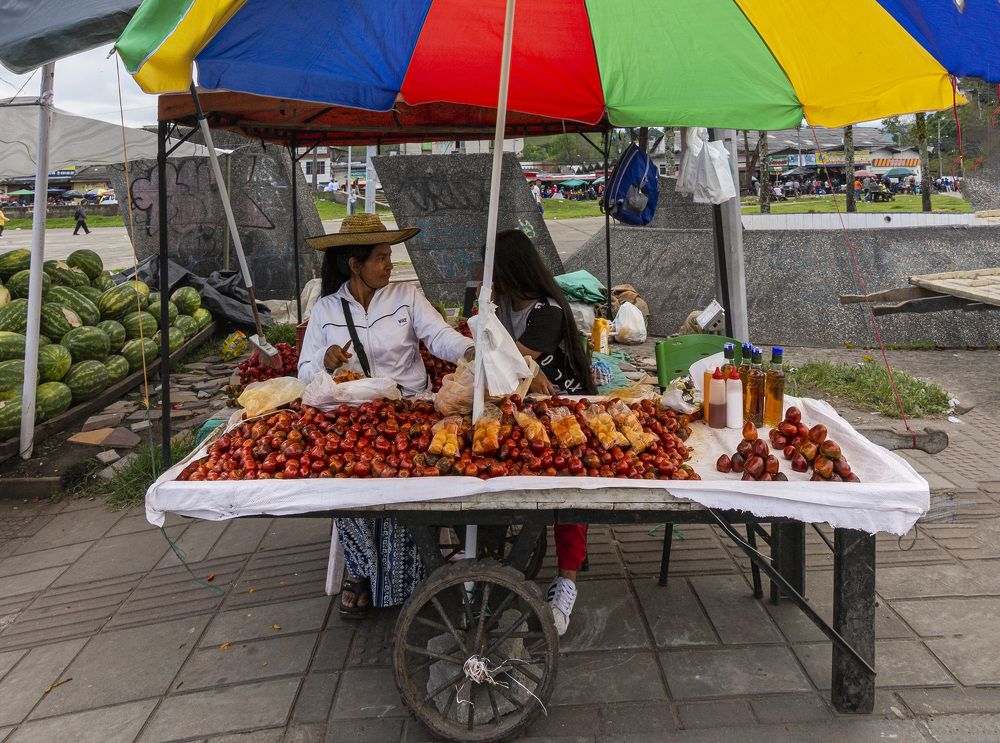Фотография автора Fernando orozco fajuri