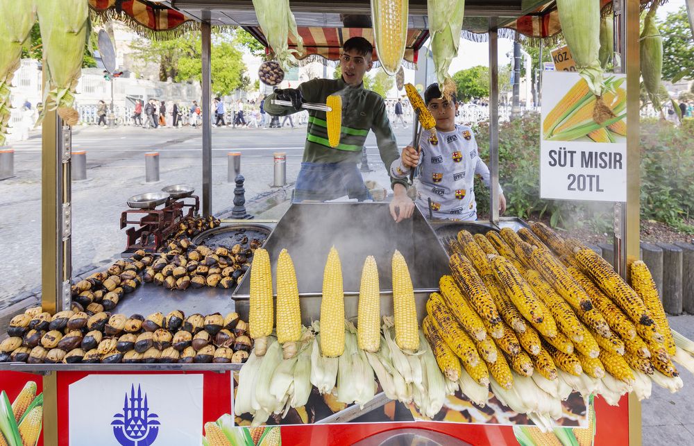 Фотография автора Fernando orozco fajuri