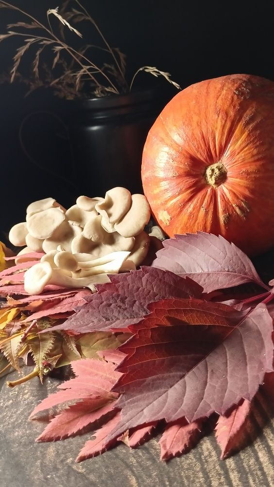 Фотография автора Вероника