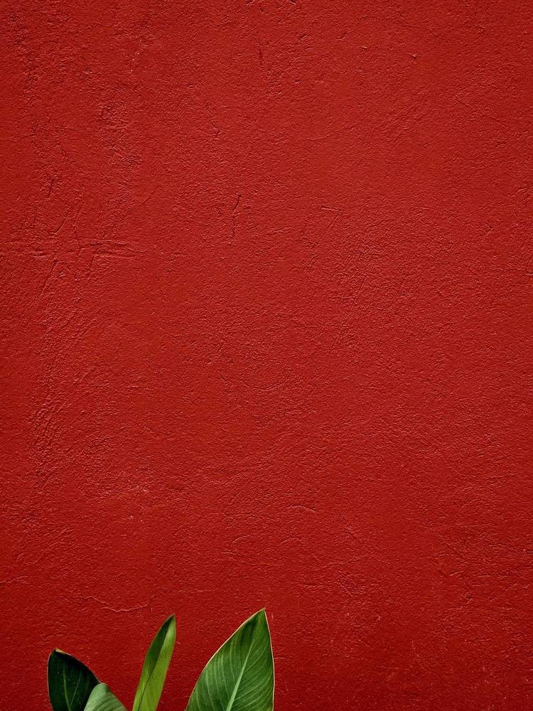 Photograph by Анастасия Голубева