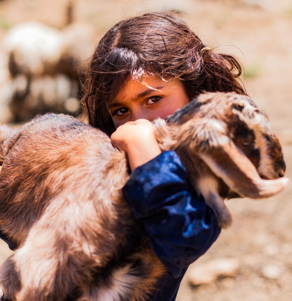 Photograph by Hamid espanani