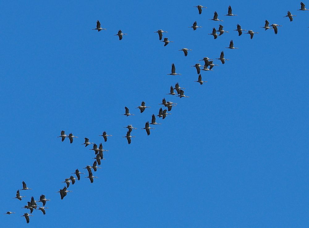 Photograph by Дмитрий Ткаченко