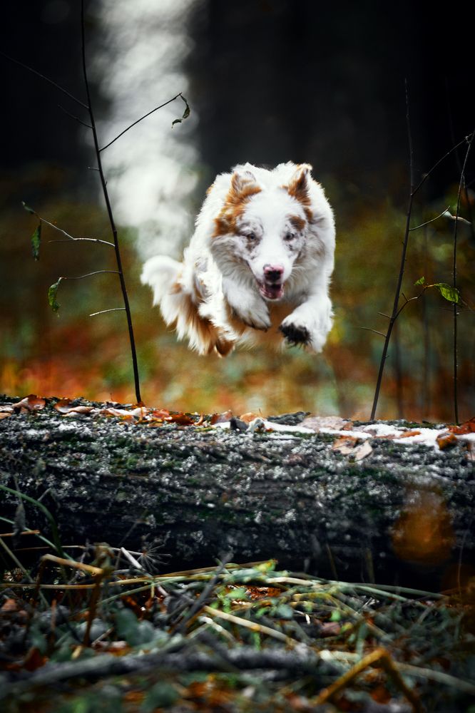 Фотография автора Вострецов Иван