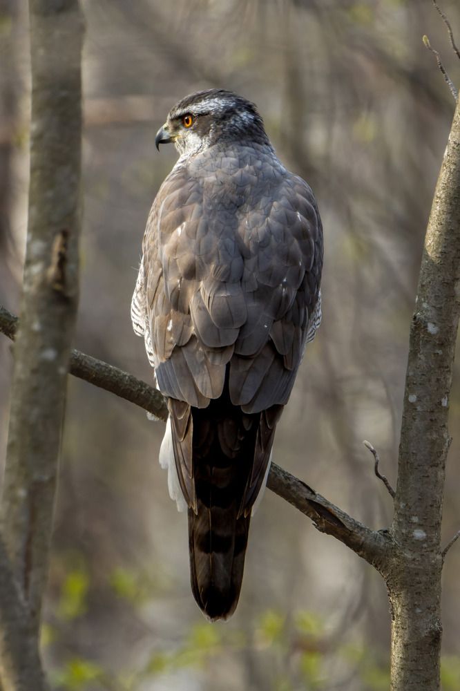 Photograph by Антон Кубышкин