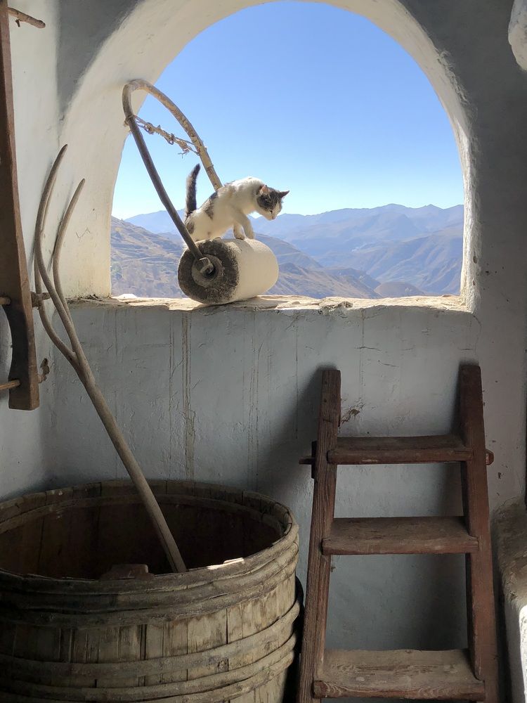 Photograph by Анастасия Германова