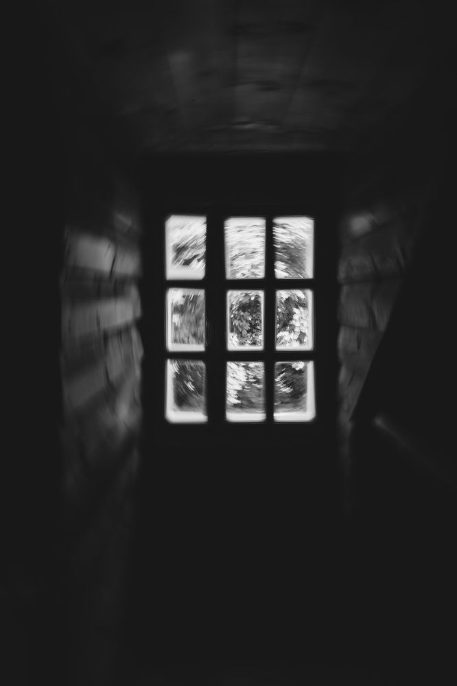 Photograph by Эльвира Полудницына