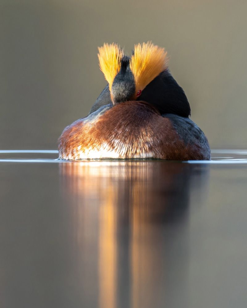 Photograph by Антон Кубышкин