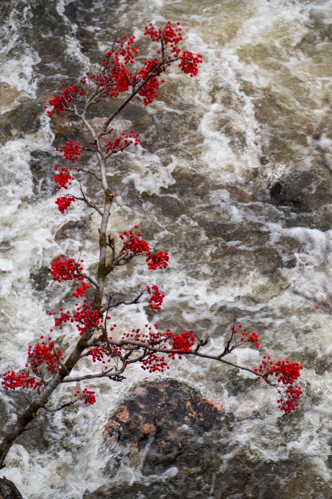 Photograph by Шейко Анна