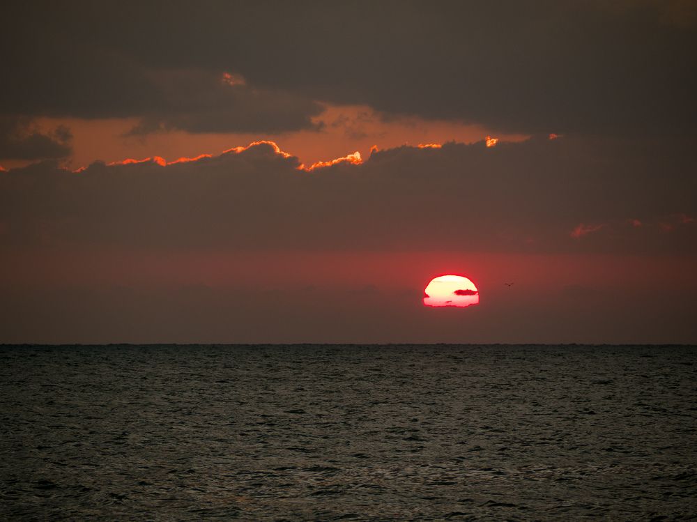 Photograph by Шейко Анна