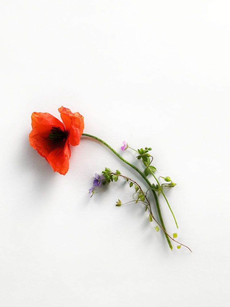 Photograph by Юлия Бурминская