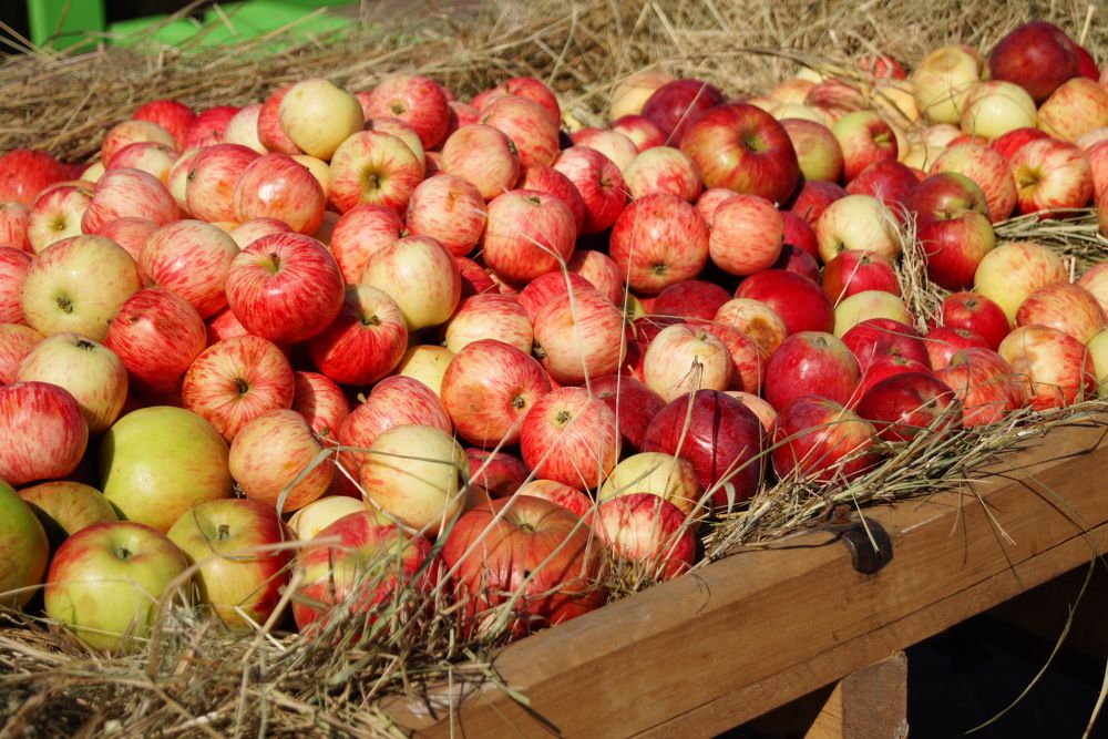 Photograph by Ирина Федичева