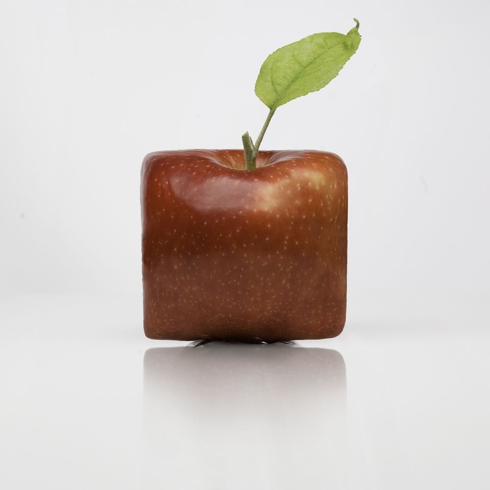 Photograph by Dar Veter