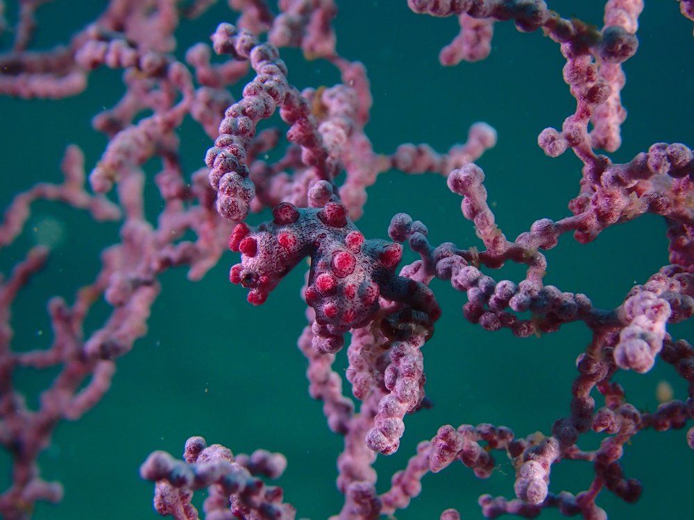 Photograph by Кирилл Леднев