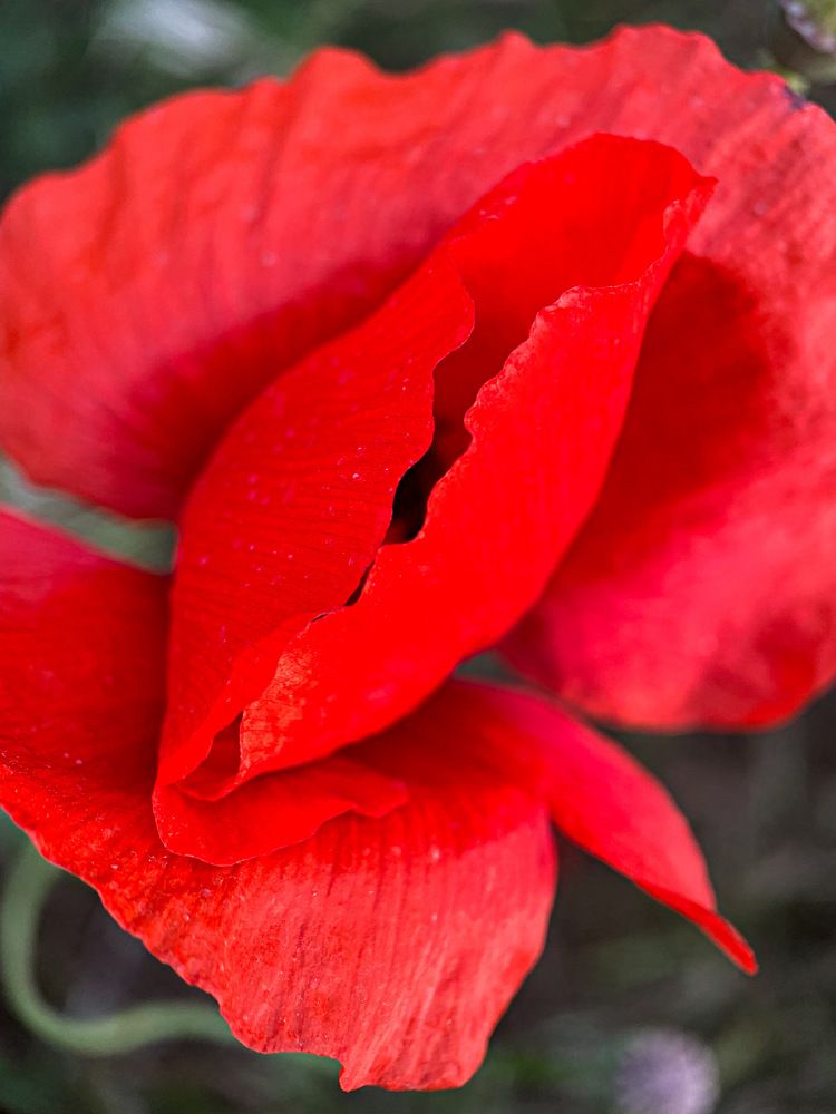 Photograph by Александра Гонтарь