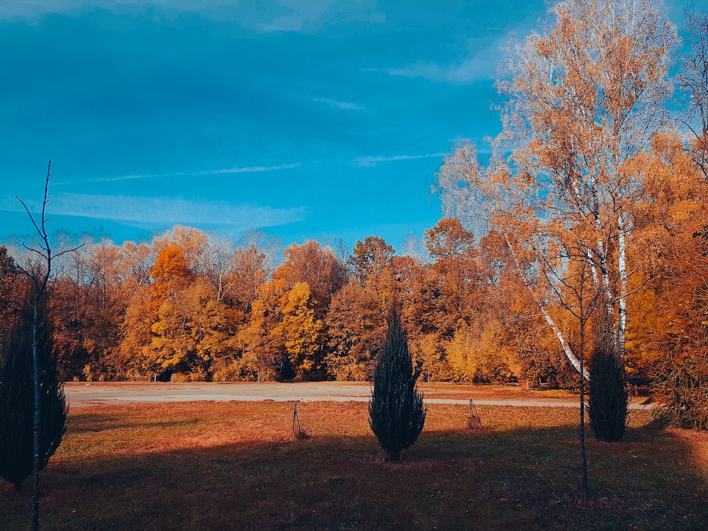 Photograph by Наталья Макаренкова