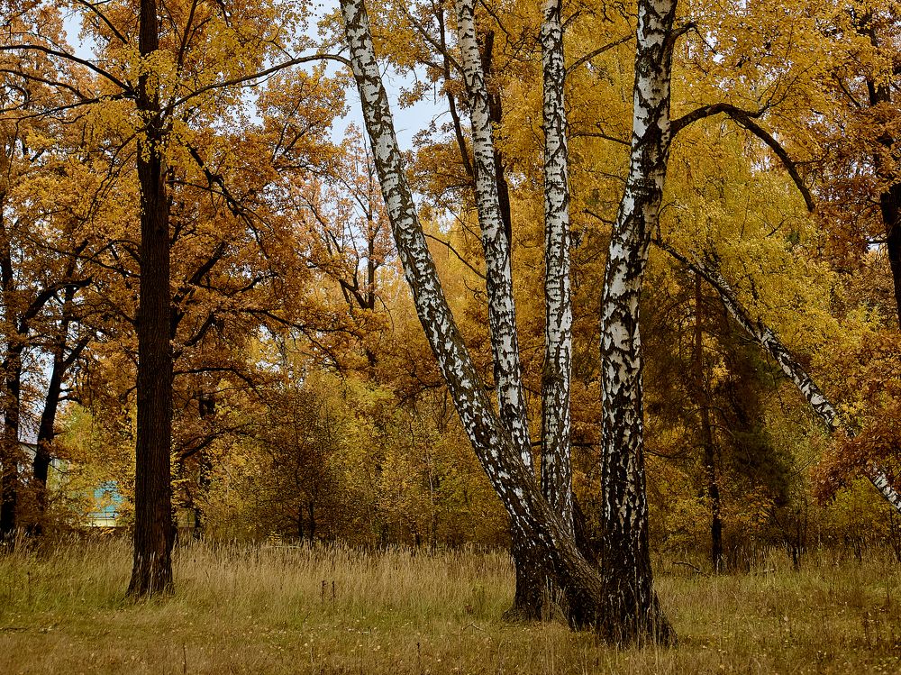 Photograph by Голованов Николай