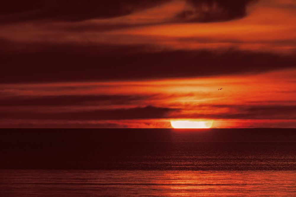 Photograph by Елена Амозова