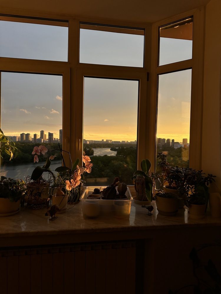 Photograph by Светлана Ионова