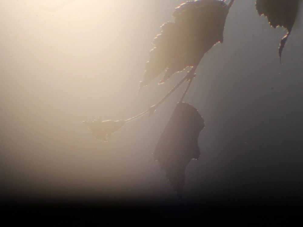 Photograph by Татьяна Краева