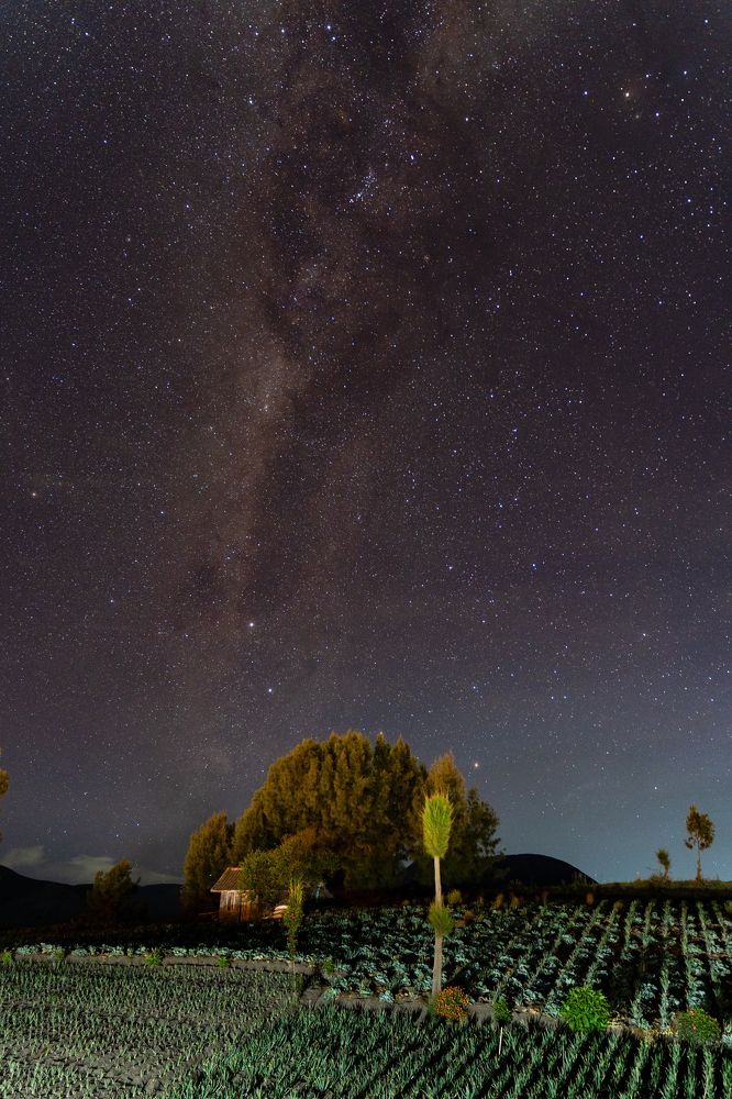 Фотография автора Светлана Зимина