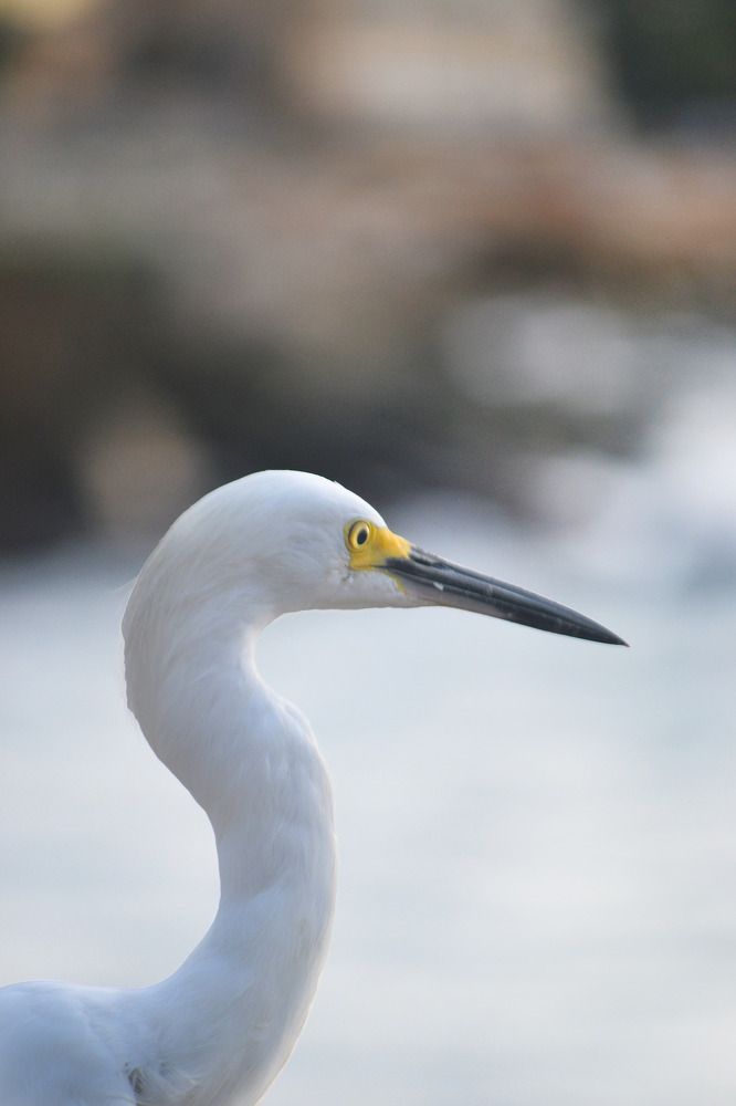 Photograph by Jorge Morales