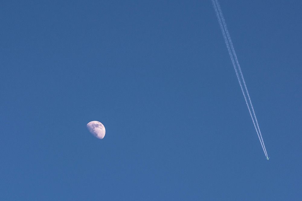 Photograph by Людмила Прибылова