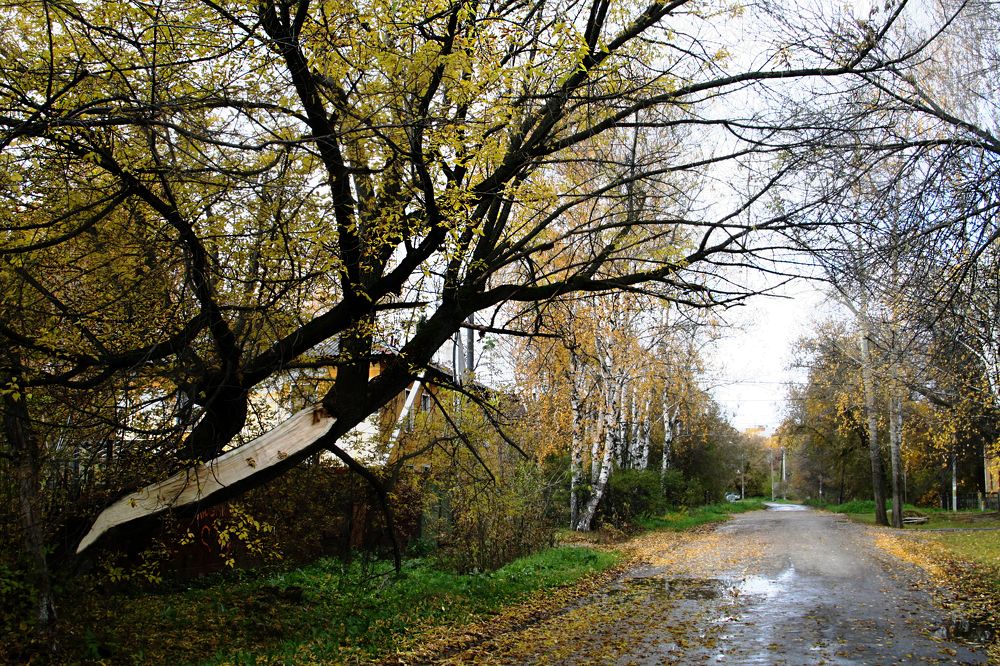 Photograph by Ирина Архипова