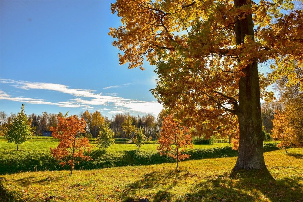 Photograph by Дмитрий Петров