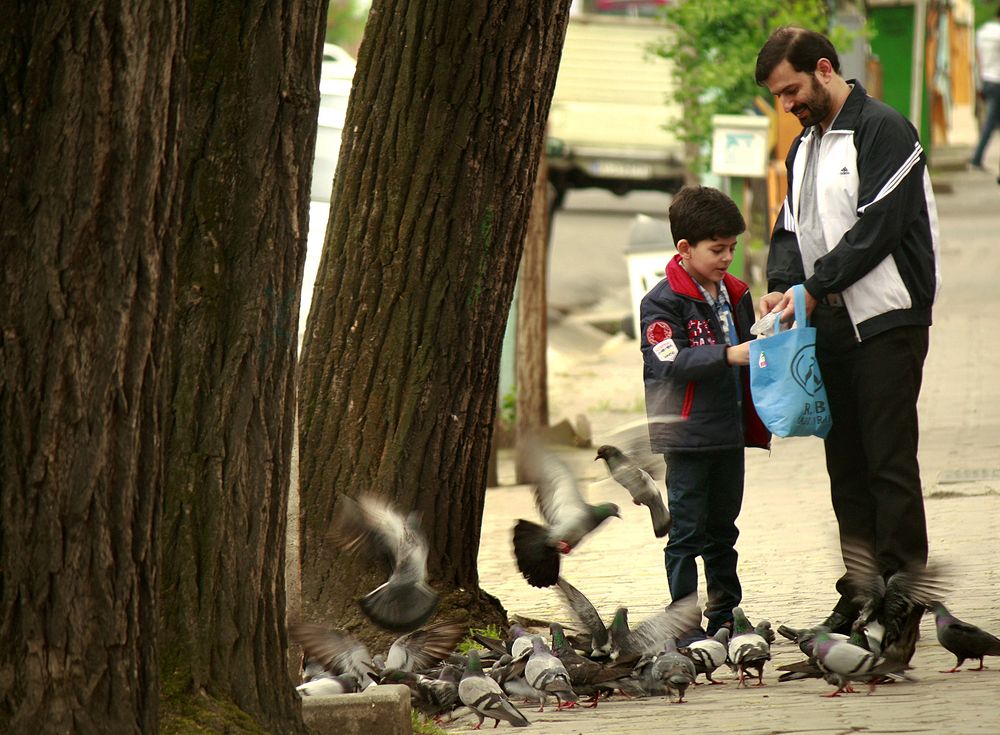 Photograph by hasan sorena jouri