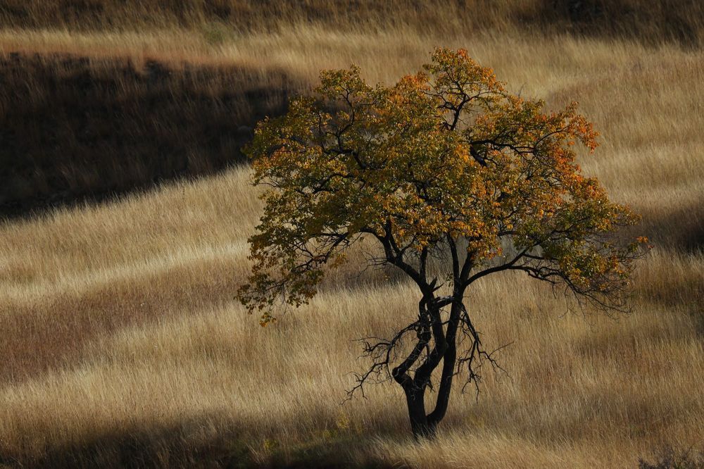 Photograph by Борис Астафьев