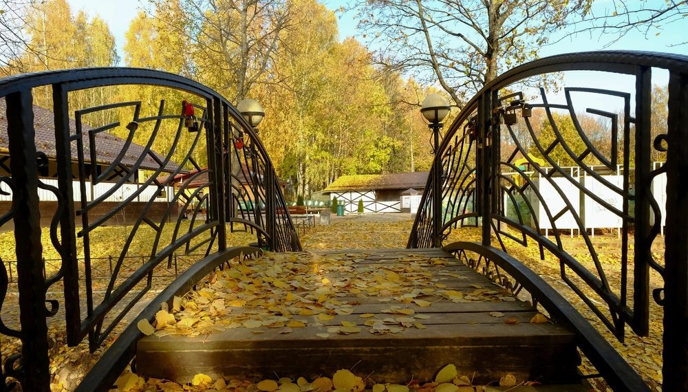 Photograph by Лариса Андреева