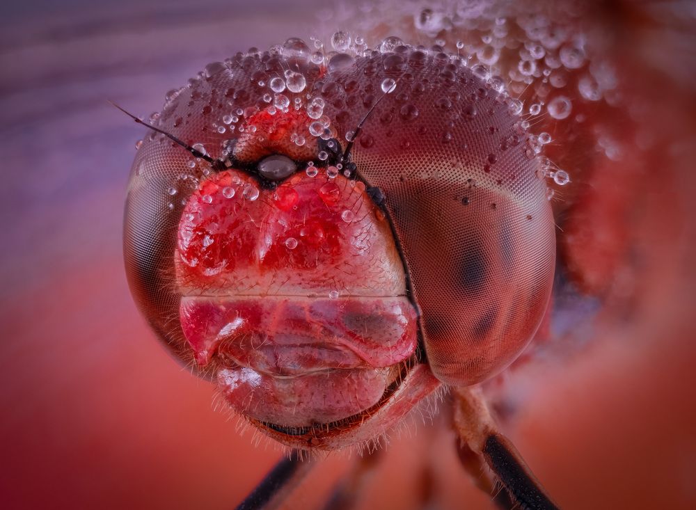 Photograph by Юрий Юрьевич Подгрушный