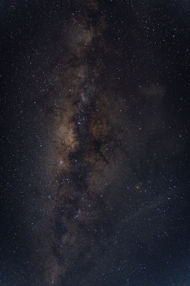 Фотография автора Светлана Зимина