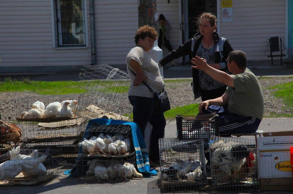 Photograph by Борис Астафьев