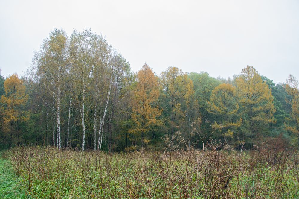 Photograph by Елизавета Корнилова