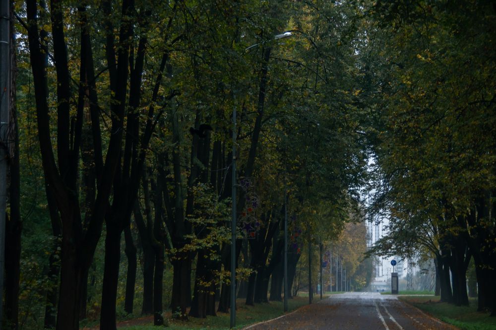 Photograph by Елизавета Корнилова