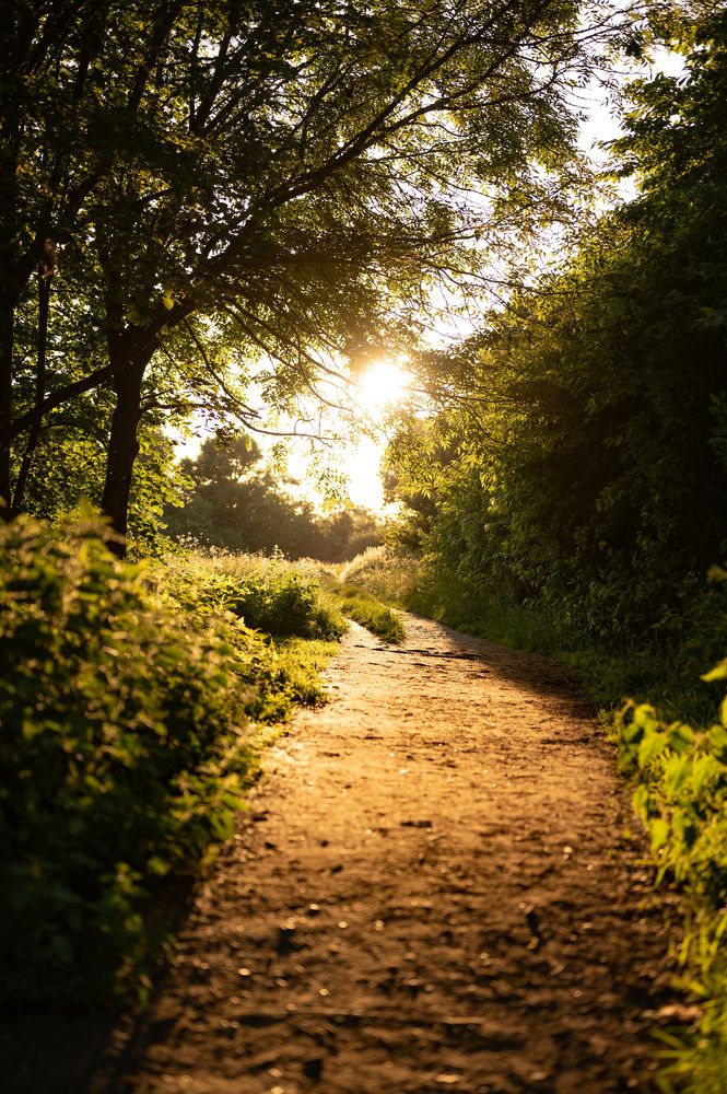 Фотография автора Inesa Darias Abreu