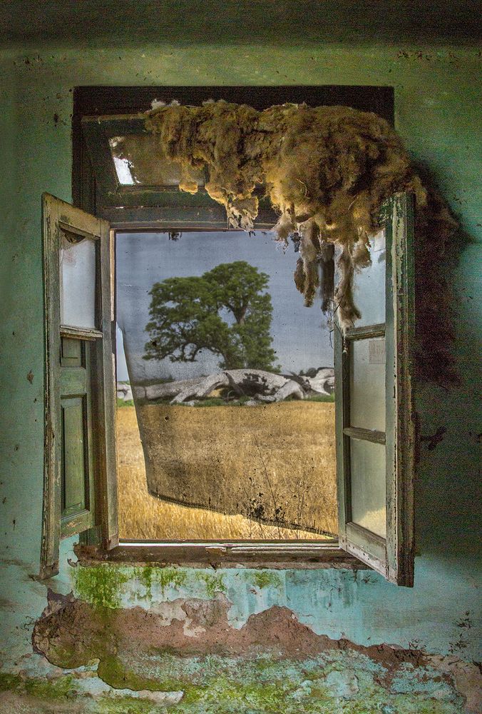 Photograph by Marina Martorelli