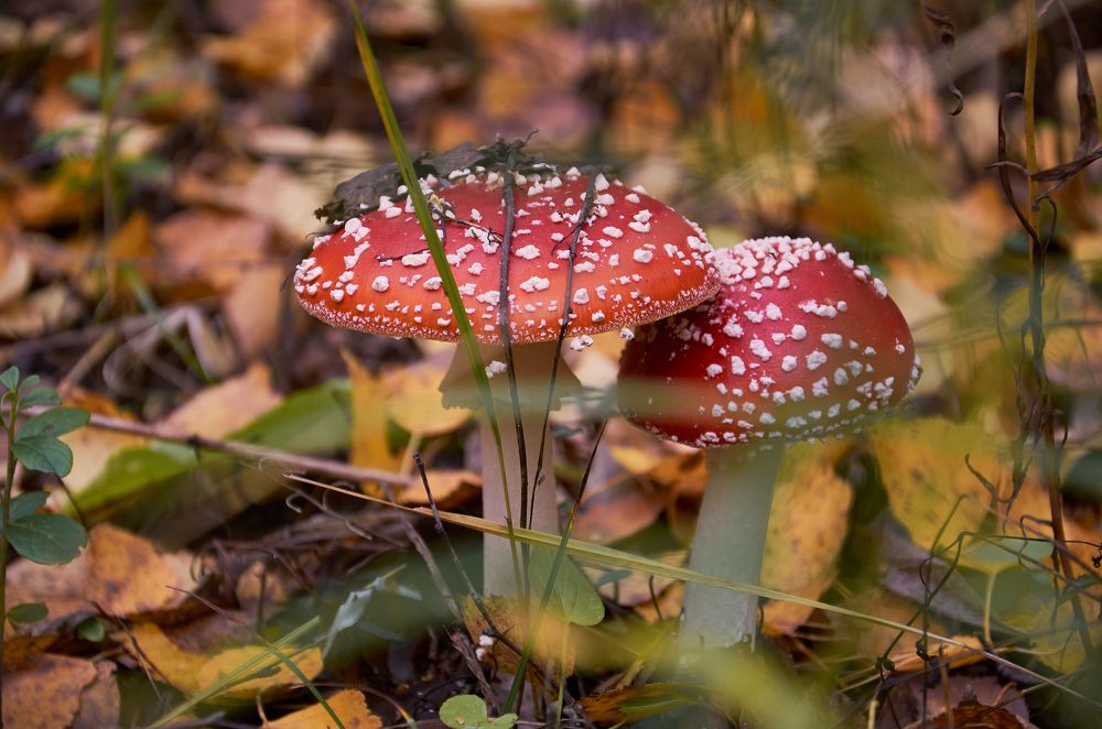 Фотография автора Войнов Дмитрий